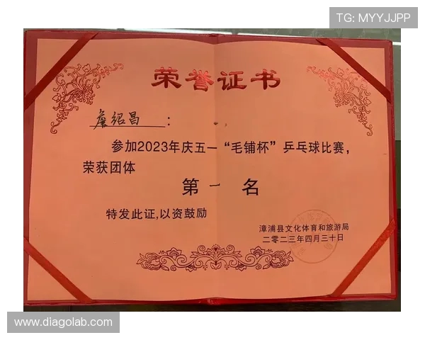 乒乓球的荣耀与坚持：杭州乒乓球队奋斗历程的真实记录与反思