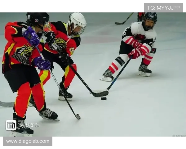 北京羽毛球队的精神面貌与发展历程深度解析